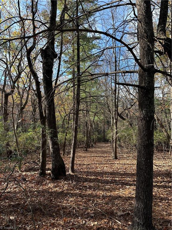 TBD Courtland Ln, Lowgap, NC 27024