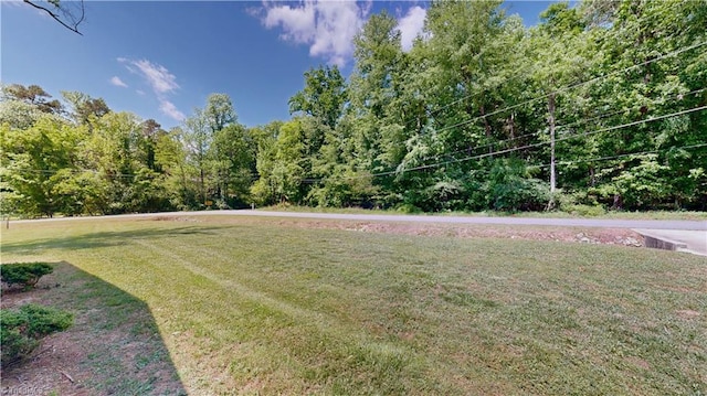 3618 Rockwood Dr, High Point, NC 27265 - view of yard