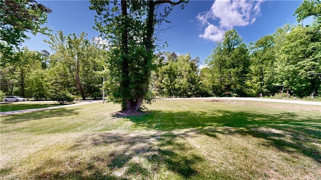 3618 Rockwood Dr, High Point, NC 27265 - view of green lawn