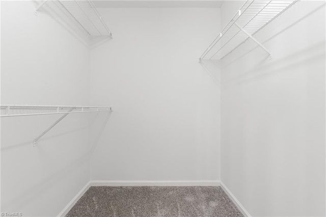 spacious closet with carpet