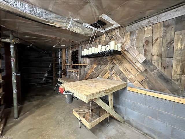 basement featuring wood walls