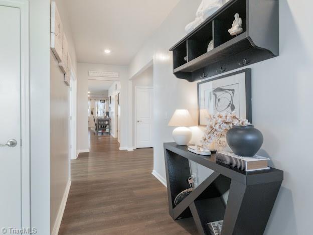 hallway featuring dark wood-type flooring