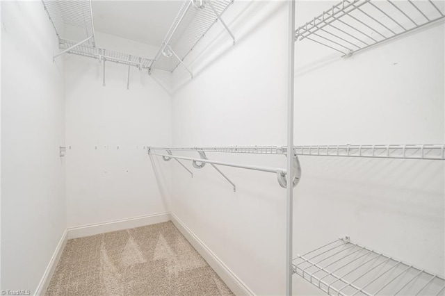 1420 Rankin Rd, Greensboro, NC 27405 - walk in closet with light colored carpet