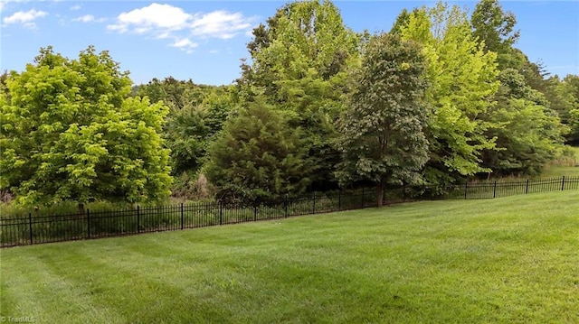 4420 Bonnie Loch Dr, Burlington, NC 27215 - view of yard