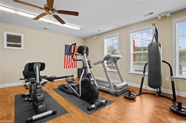 5207 York Place Ct, Walkertown, NC 27051 - exercise room featuring wood finished floors and ceiling fan