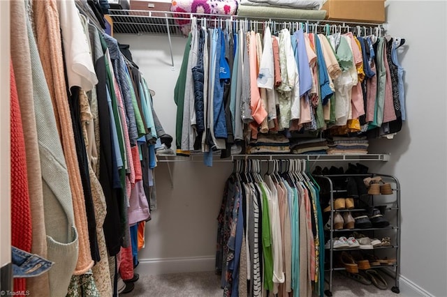 spacious closet featuring carpet floors