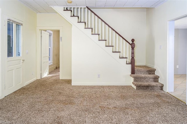 staircase with carpet floors