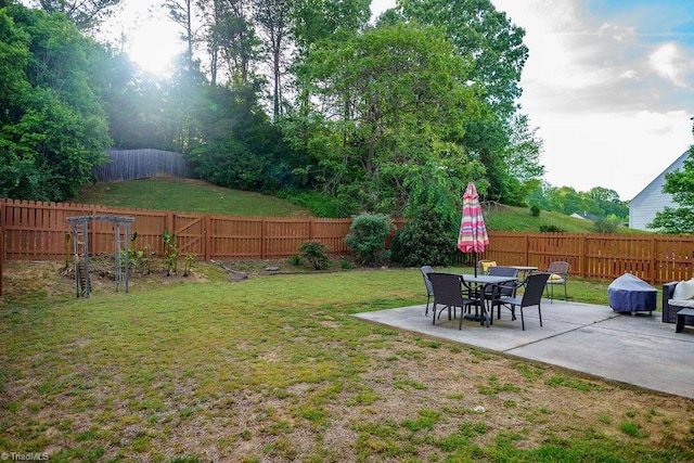 view of yard featuring a fenced backyard and a patio