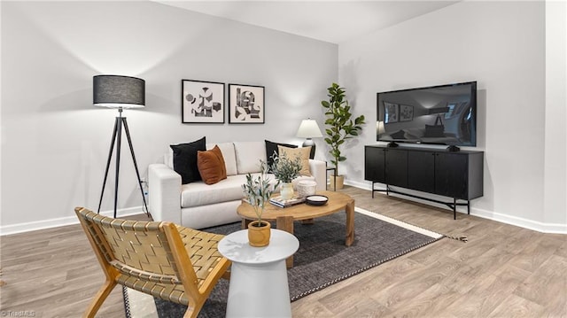 living room featuring wood-type flooring