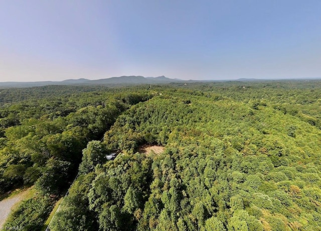 03 Seven Island Rd, Danbury NC, 27016 land for sale