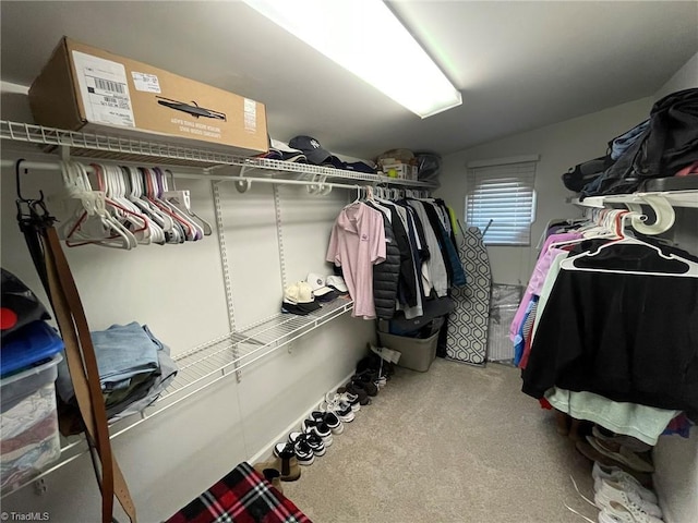 view of walk in closet