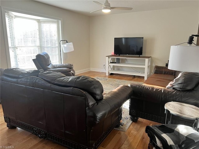 living room featuring ceiling fan and wood-type flooring