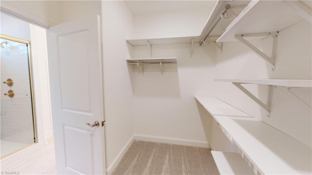 spacious closet with light colored carpet