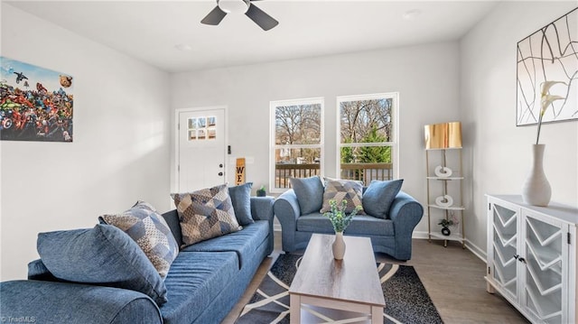 living room with ceiling fan and hardwood / wood-style floors