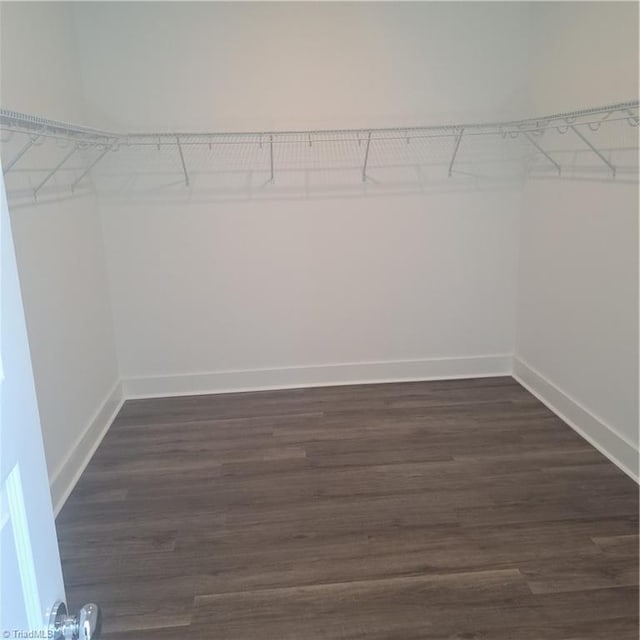 walk in closet with dark wood-type flooring