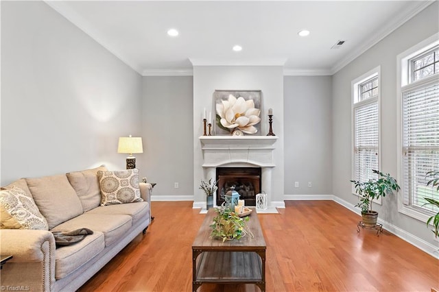 living room with crown molding and hardwood / wood-style floors