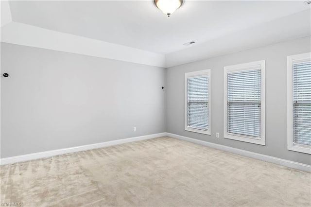 empty room featuring light carpet and a wealth of natural light