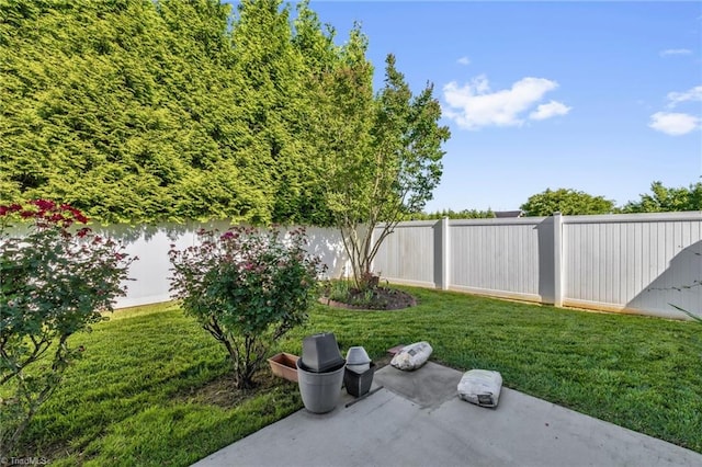 3502 Quarry Ct, High Point, NC 27265 - view of yard with a patio
