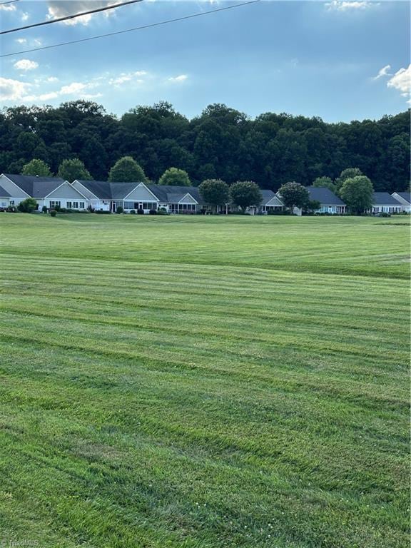 135 Plantation Place Ln, Mount Airy, NC 27030 - view of property's community featuring a lawn