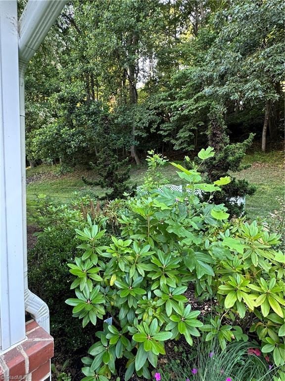 135 Plantation Place Ln, Mount Airy, NC 27030 - view of yard