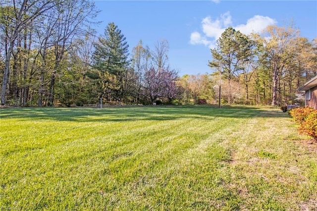 520 S Bunker Hill Rd, Colfax, NC 27235 - view of green lawn