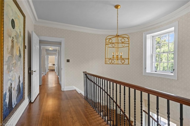 corridor featuring ornamental molding, dark hardwood / wood-style floors, and a chandelier