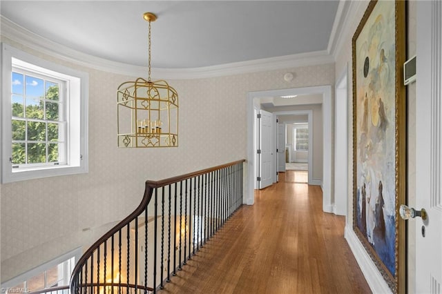 hallway featuring an inviting chandelier, crown molding, and hardwood / wood-style floors