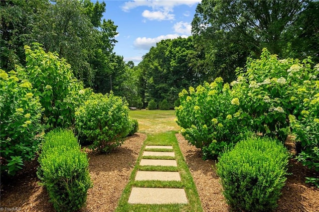 view of yard