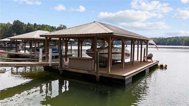 dock area with a water view