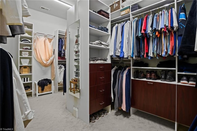 spacious closet featuring light carpet