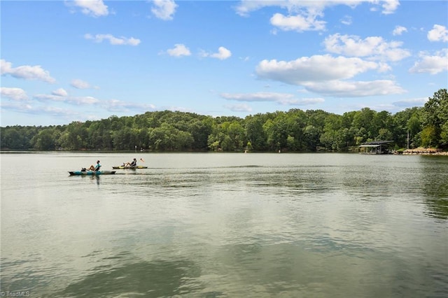 property view of water