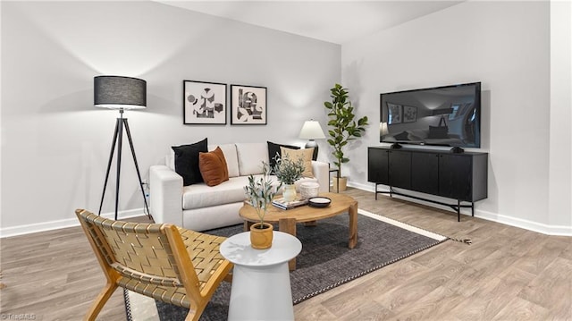 living room with hardwood / wood-style flooring