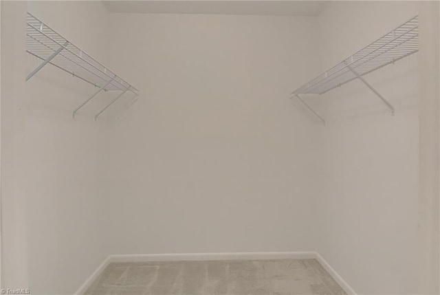 walk in closet with light colored carpet