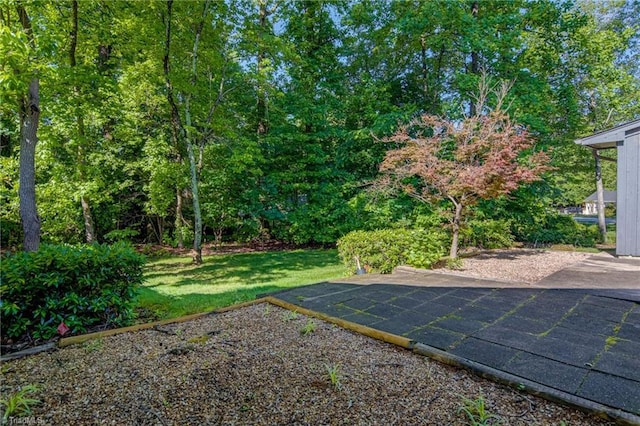view of green lawn featuring a patio area
