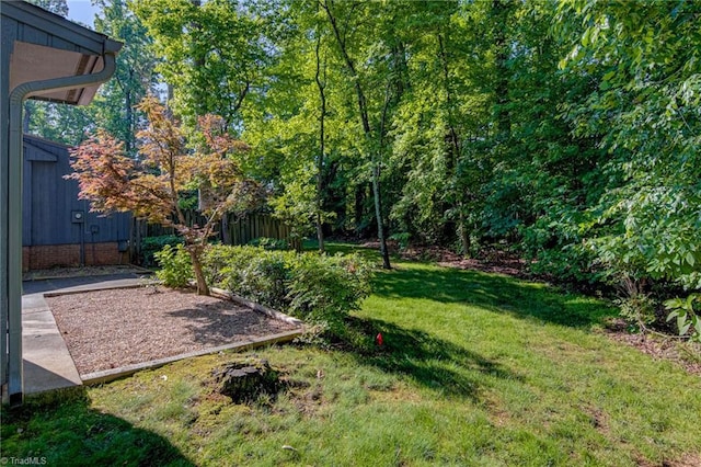 view of yard