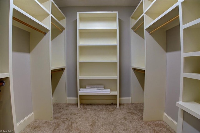 walk in closet with light colored carpet