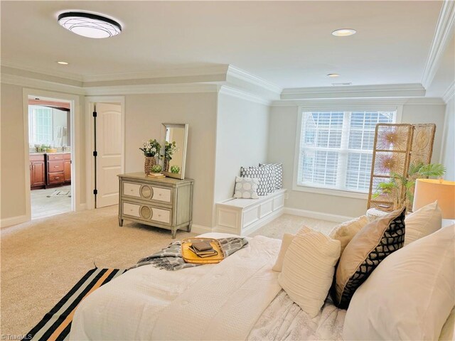 spare room with light carpet, a raised ceiling, and crown molding