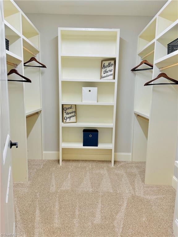 unfurnished bedroom with a closet, ornamental molding, and carpet flooring