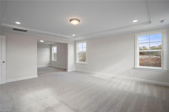 unfurnished room featuring a raised ceiling, light carpet, and plenty of natural light