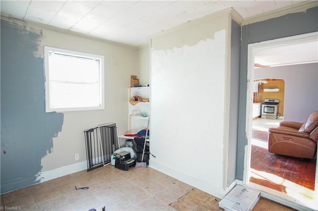 misc room featuring ornamental molding