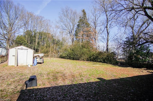 view of yard featuring a storage unit