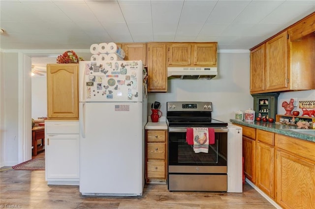 kitchen featuring under cabinet range hood, light wood finished floors, stainless steel electric range, and freestanding refrigerator