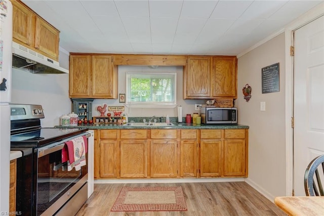 kitchen with under cabinet range hood, light wood-type flooring, brown cabinets, stainless steel appliances, and a sink