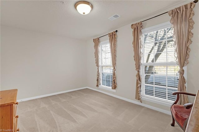 unfurnished room with a textured ceiling and light carpet