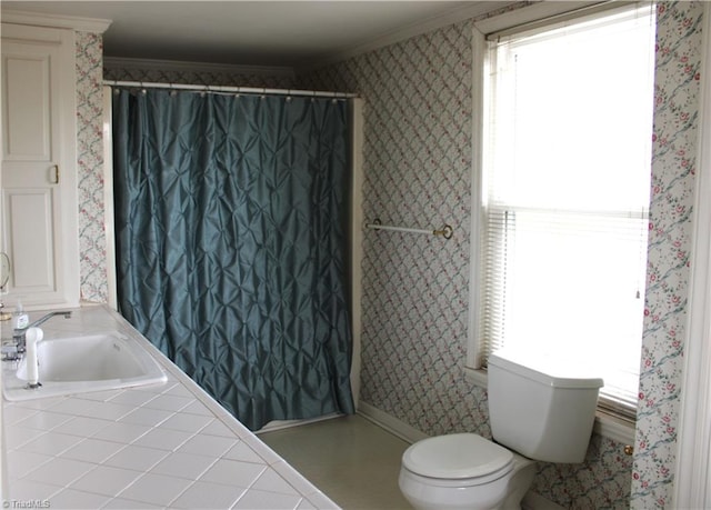 bathroom featuring toilet, ornamental molding, and sink