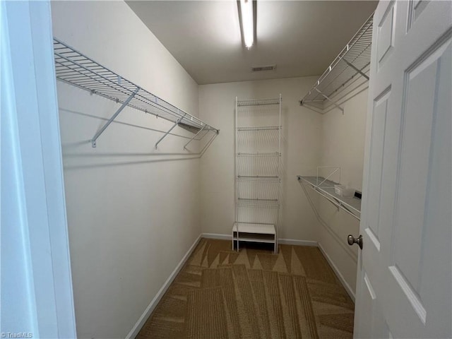 111 Braewyck Ln, King, NC 27021 - walk in closet featuring carpet flooring