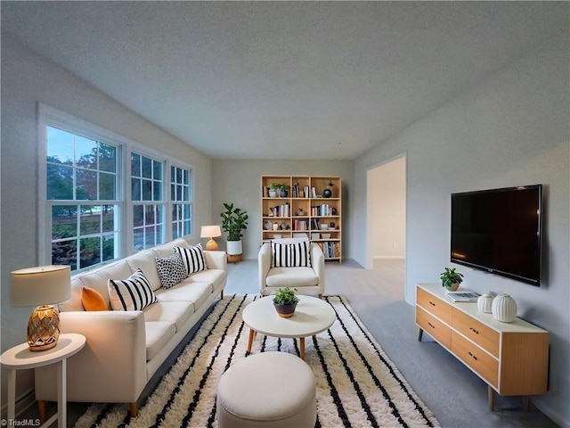 carpeted living area featuring a textured ceiling