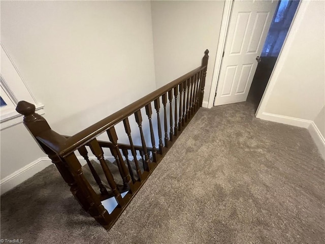 staircase featuring carpet flooring