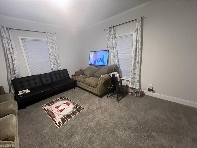 living room featuring carpet flooring