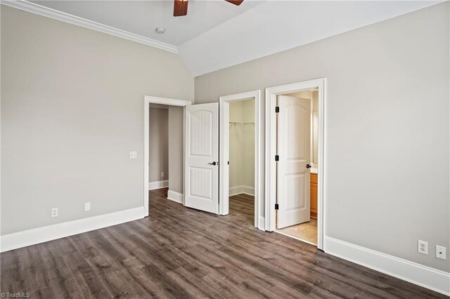 unfurnished bedroom with ceiling fan, a closet, dark wood-type flooring, crown molding, and a walk in closet